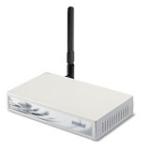 CB-3000-0010-WWR Motorola CB 3000 Wireless Bridge 54Mbps