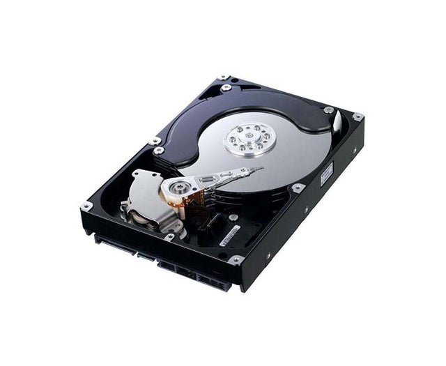 HD256GM Samsung Spinpoint 250GB 7200RPM SATA 6Gb/s 16MB Cache 3.5-Inch Hard Drive