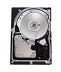 Fujitsu - MBA3300NC-DELL - 300GB 15000RPM Ultra 320 SCSI 3.5 8MB Cache Enterprise Hard Drive"